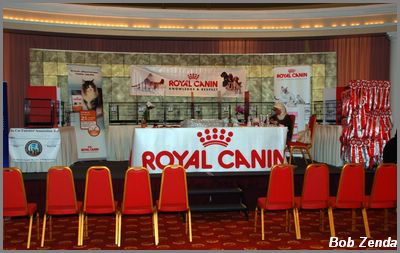 Judging Ring